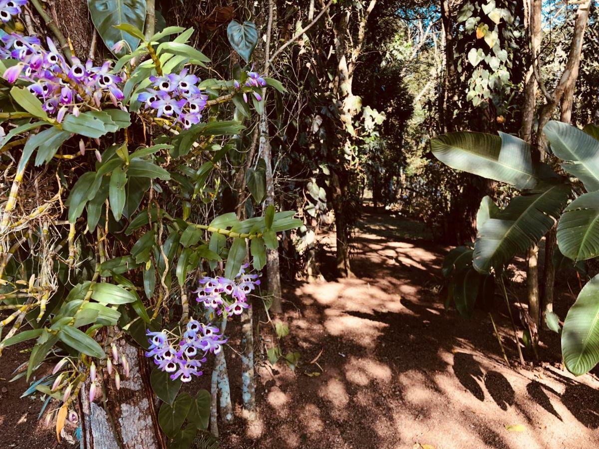 Chacara Quinta Dos Esquilos Villa Cotia  Buitenkant foto