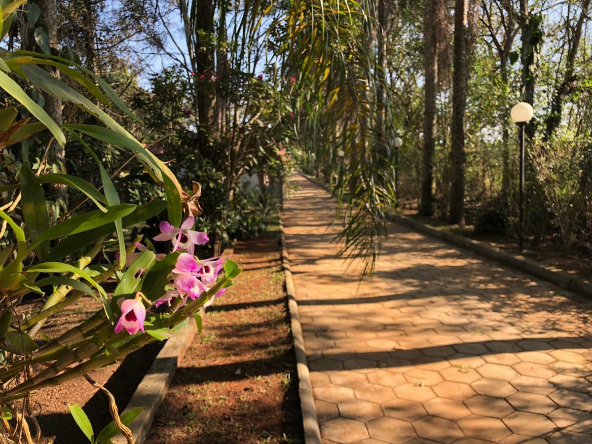 Chacara Quinta Dos Esquilos Villa Cotia  Buitenkant foto